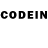 Псилоцибиновые грибы GOLDEN TEACHER Summboddi