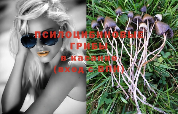 эйфоретик Алексин
