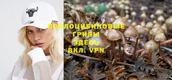 эйфоретик Алексин