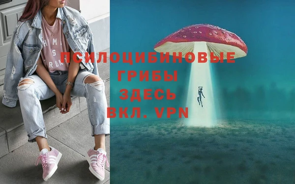 эйфоретик Алексин