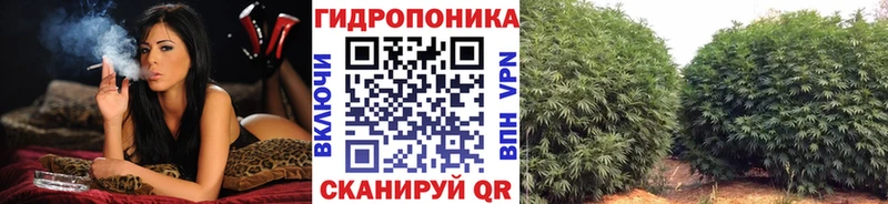 как найти закладки  ссылка на мегу как зайти  Конопля ГИДРОПОН  Славск 